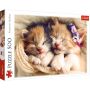 Puzzle Trefl 500el Śpiące kotki - 2